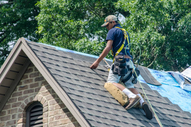 Best Residential Roofing Contractor  in Madison Heights, VA