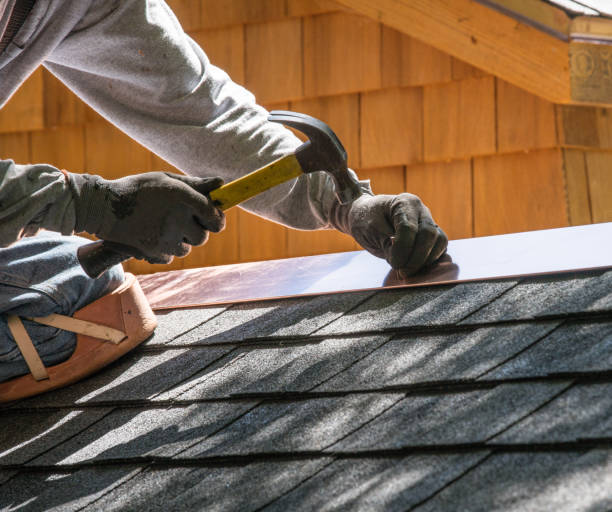 Best Roof Restoration Services  in Madison Heights, VA